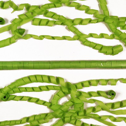 Light green tissue streamers