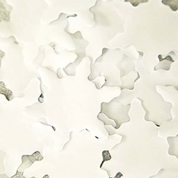 White tissue snowflake confetti